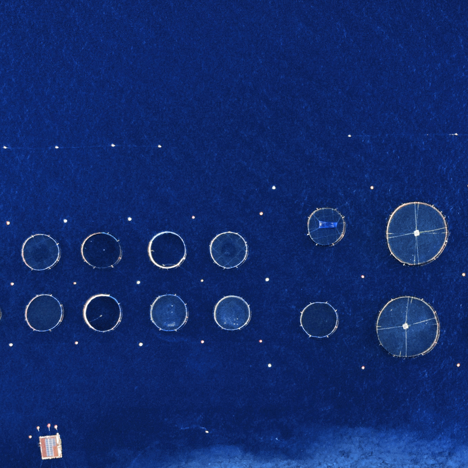 concept1_Seaculture_UMA