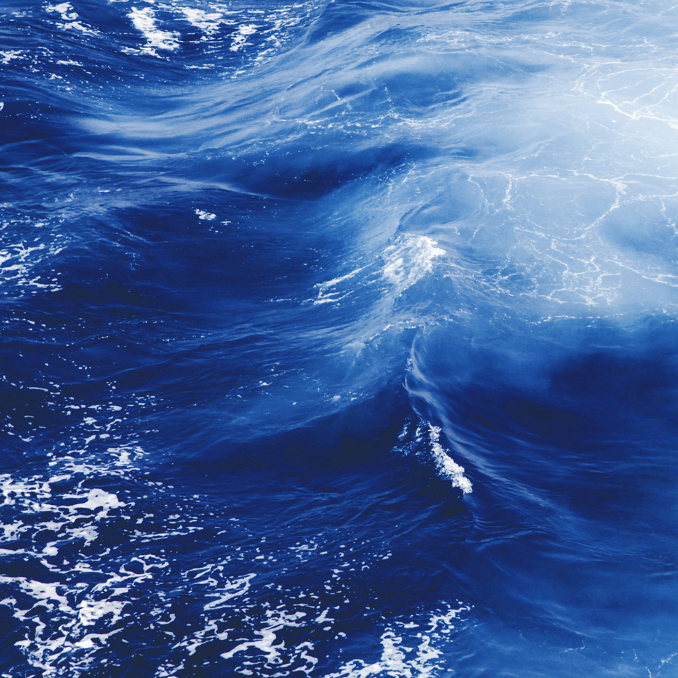 concept3_Seaculture_UMA